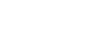 BCG Logo